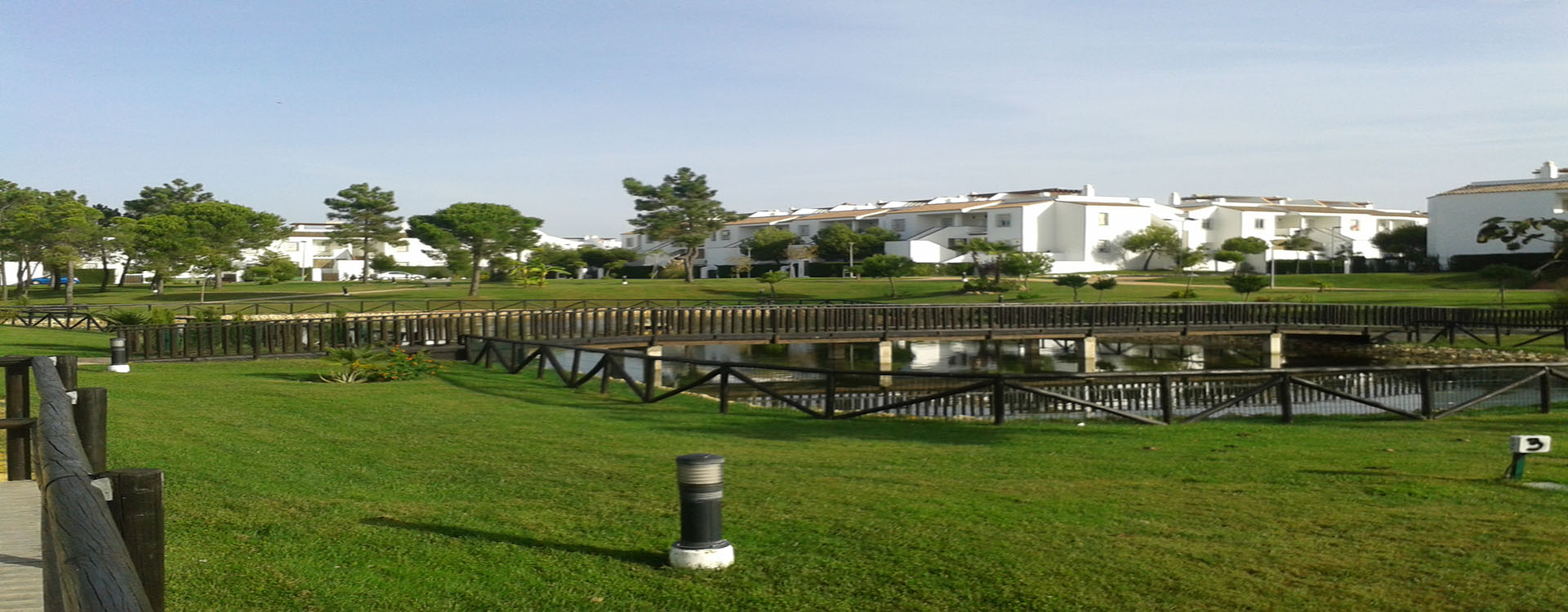 header_image