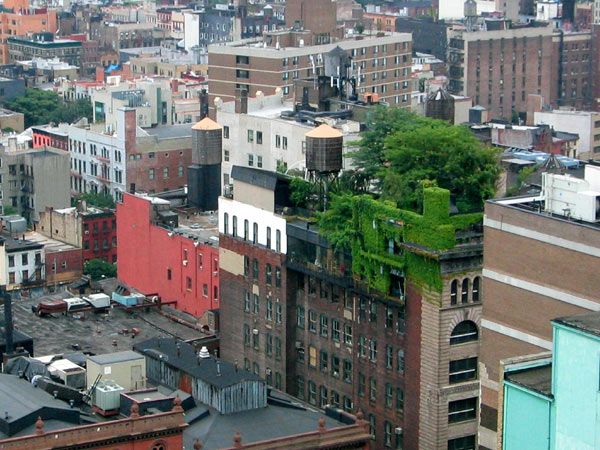 techos-verdes-NYC
