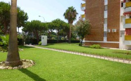 vistas de las zonas verdes